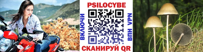 Псилоцибиновые грибы мицелий  darknet состав  Анжеро-Судженск  купить наркотик 